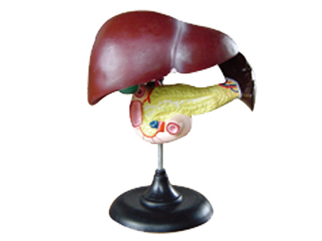 SD-093 33216ʮ֬cKģ